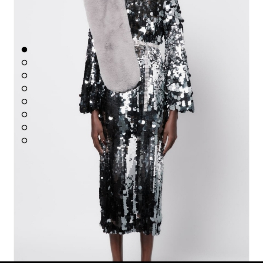 Zara sequin set.